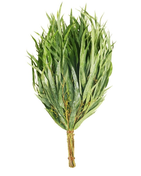 Веник ЭВКАЛИПТ в индивидуальной упаковке Веник ЭВКАЛИПТ в индивидуальной упаковке