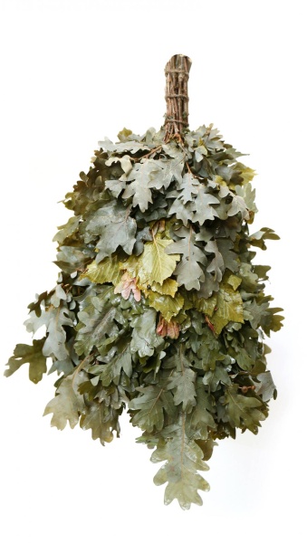 Веник дубовый (в упаковке ) Веник дубовый (в упаковке )